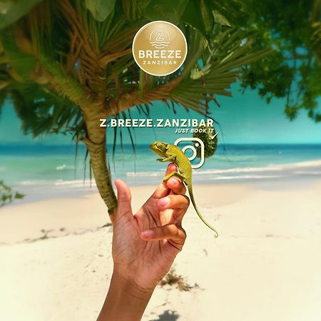 מלון קיוונגווה Z-Breeze Zanzibar מראה חיצוני תמונה